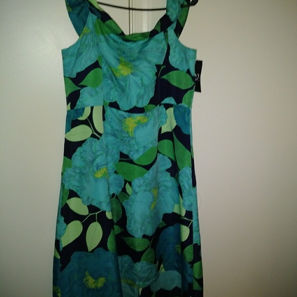 New York & Company Dresses & Skirts - Eva Mendes New York & Company